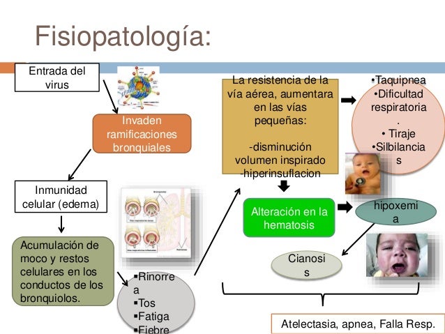 Gastrosquisis MedlinePlus enciclopedia m dica